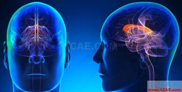 【資訊】強(qiáng)勢圍觀！Science公布的125個科學(xué)前沿問題!圖片94