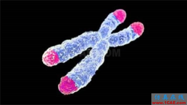 【資訊】強(qiáng)勢圍觀！Science公布的125個科學(xué)前沿問題!圖片66
