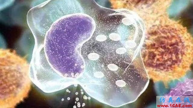 【資訊】強(qiáng)勢圍觀！Science公布的125個科學(xué)前沿問題!圖片62