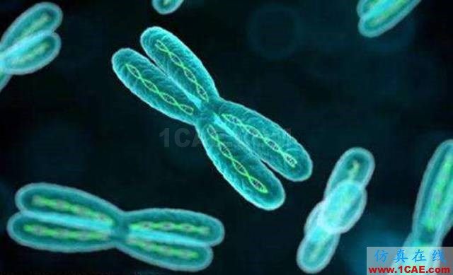 【資訊】強(qiáng)勢圍觀！Science公布的125個科學(xué)前沿問題!圖片101