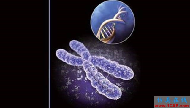 【資訊】強(qiáng)勢圍觀！Science公布的125個科學(xué)前沿問題!圖片4