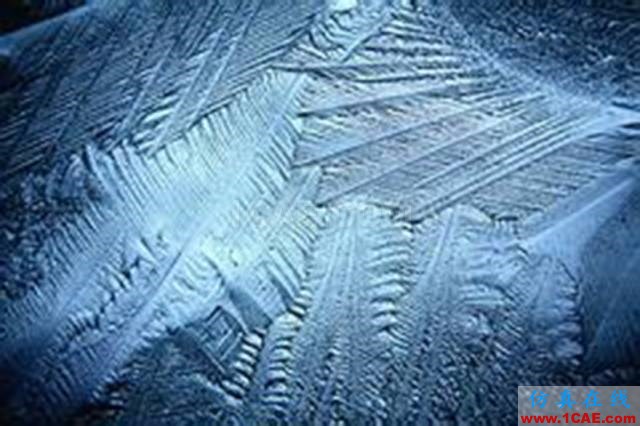【資訊】強(qiáng)勢圍觀！Science公布的125個科學(xué)前沿問題!圖片48