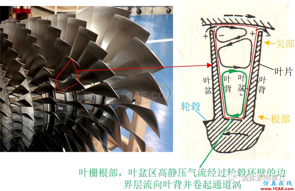 萬里長江，險在荊江：荊江為何如此蜿蜒曲折？【轉發】fluent結果圖片9
