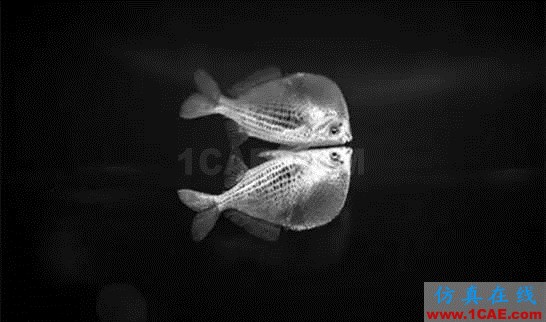 【資訊】強(qiáng)勢圍觀！Science公布的125個科學(xué)前沿問題!圖片58