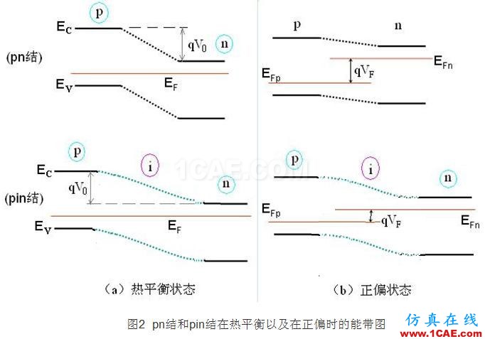 PIN結(jié)與PN結(jié)的特性比較 - 學(xué)習(xí) - 學(xué)習(xí)、學(xué)習(xí)、再學(xué)習(xí)