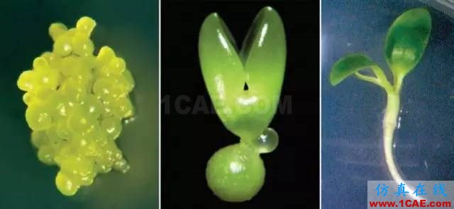 【資訊】強(qiáng)勢圍觀！Science公布的125個科學(xué)前沿問題!圖片9