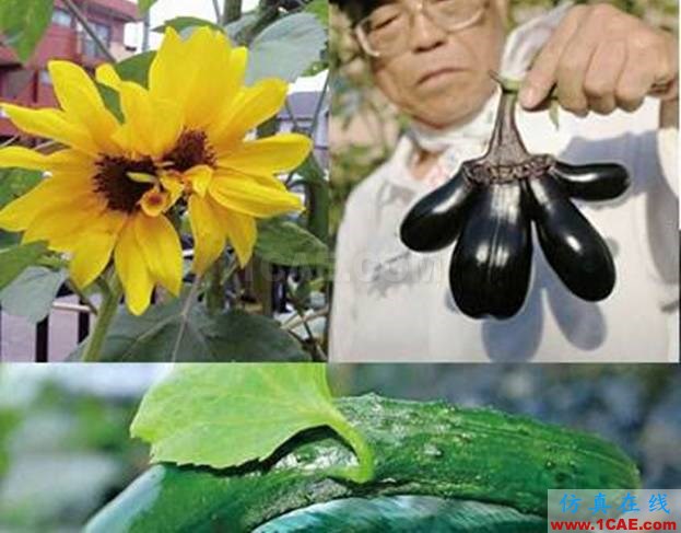 【資訊】強(qiáng)勢圍觀！Science公布的125個科學(xué)前沿問題!圖片107